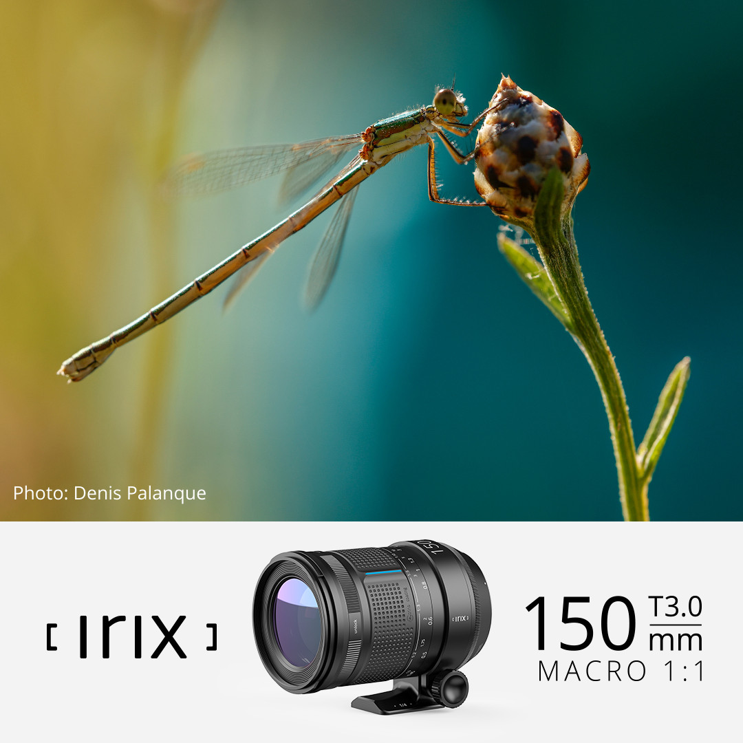 irix150mmdragonfly-macrophotography.jpg